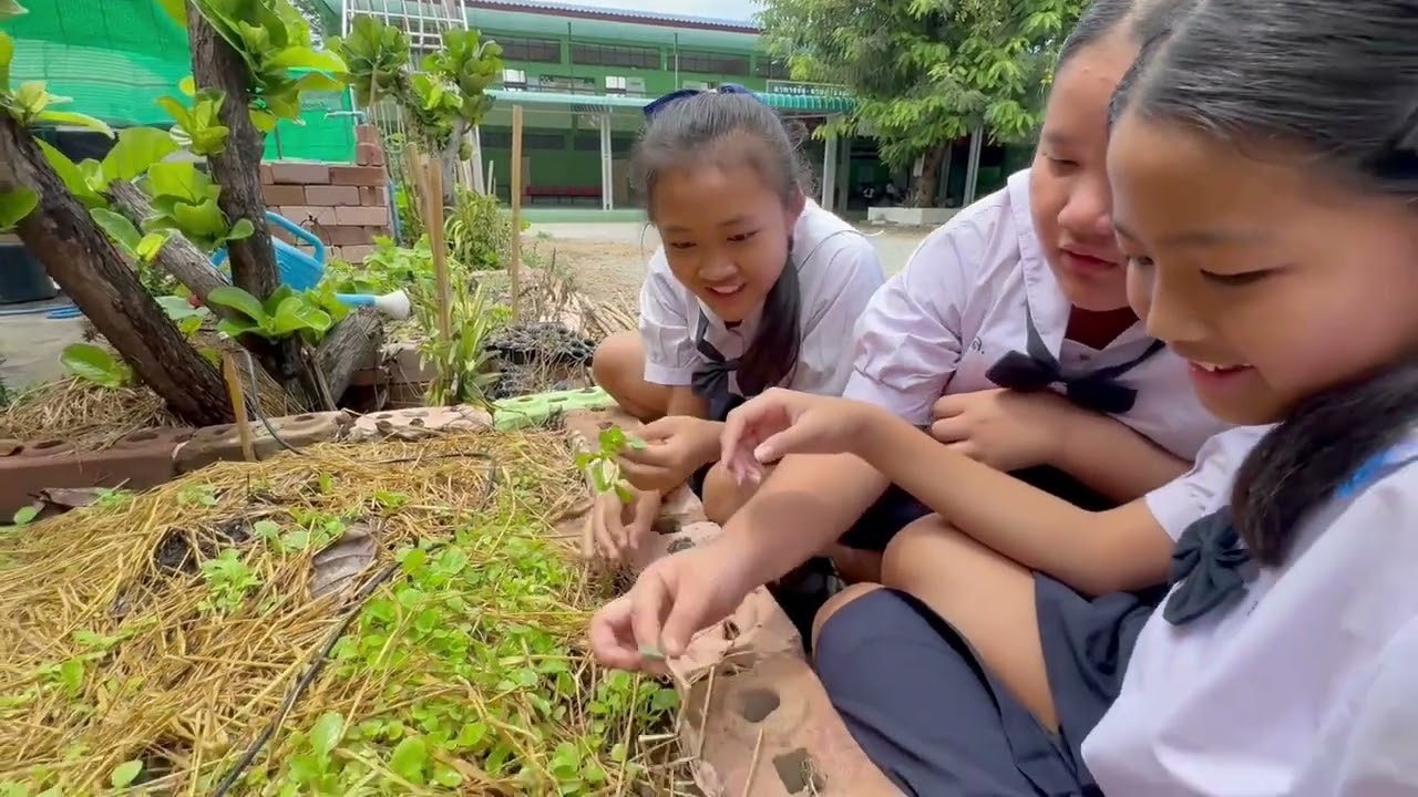 ศูนย์การเรียนรู้เศรษฐกิจพอเพียงโรงเรียนวัดสระสี่เหลี่ยม