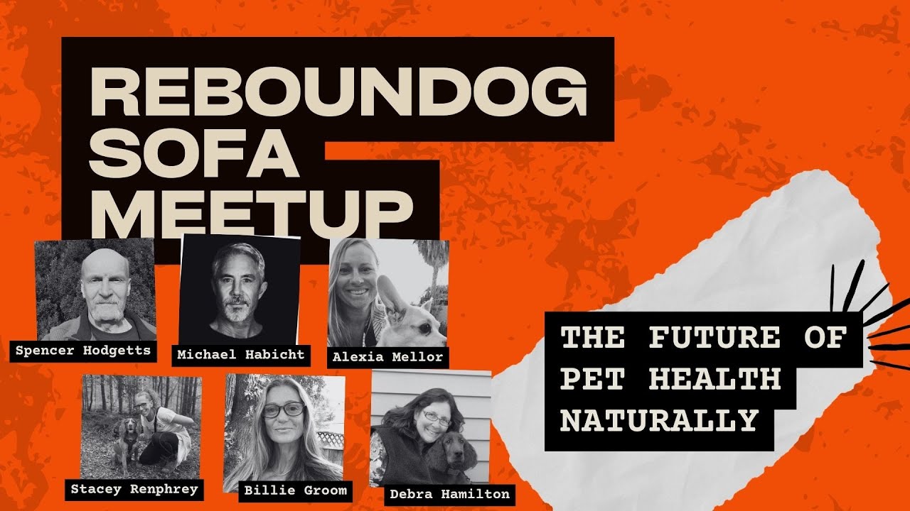 The Future of Pet Health Naturally with Alexia Mellor, Debra Hamilton, Michael Habicht, Billie Groom