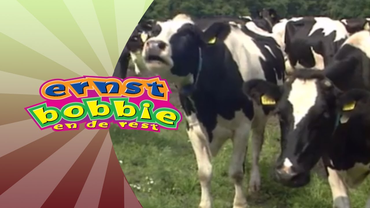 Koeien Melken • Avonturen Op de Boerderij • Ernst en Bobbie