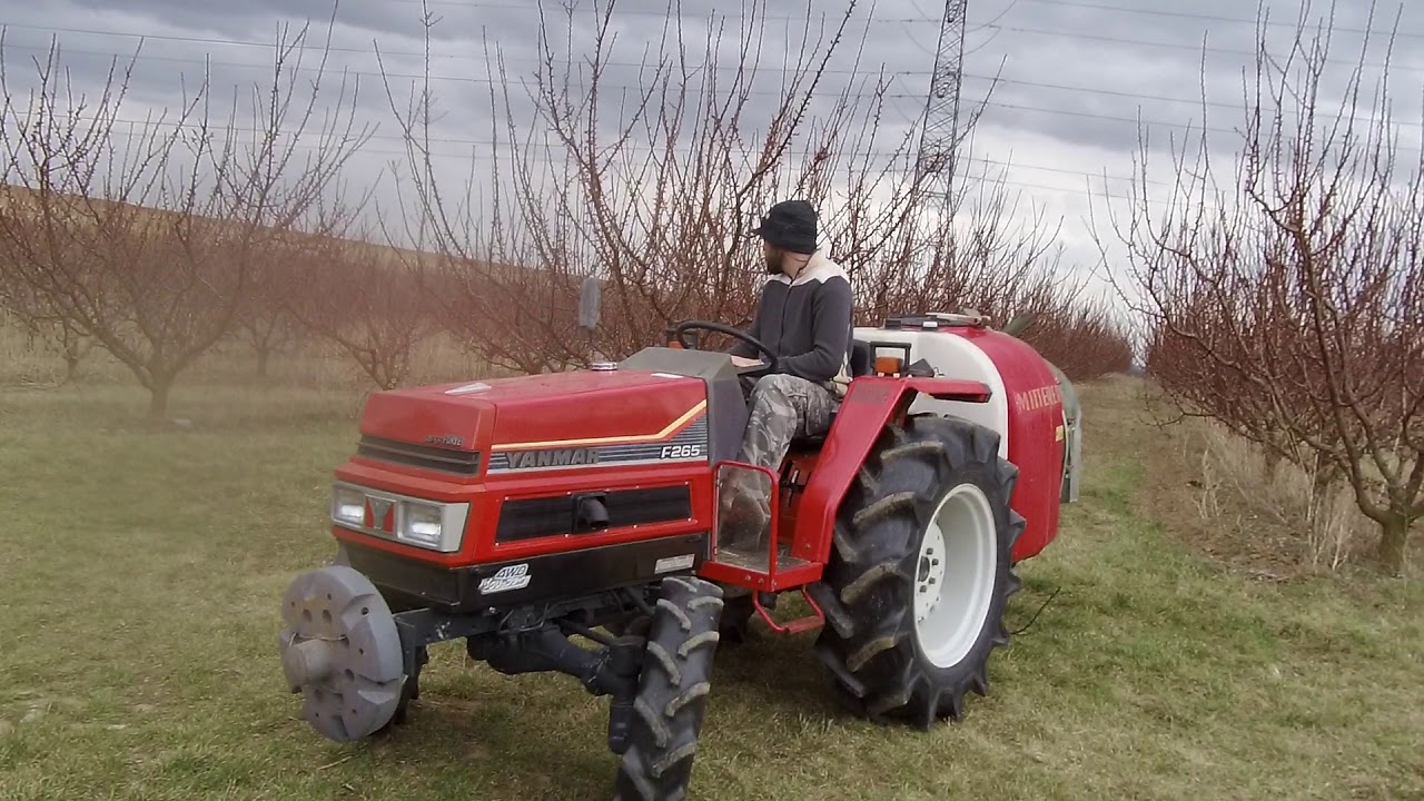 Kajszi lemosó permetezése 2019 .