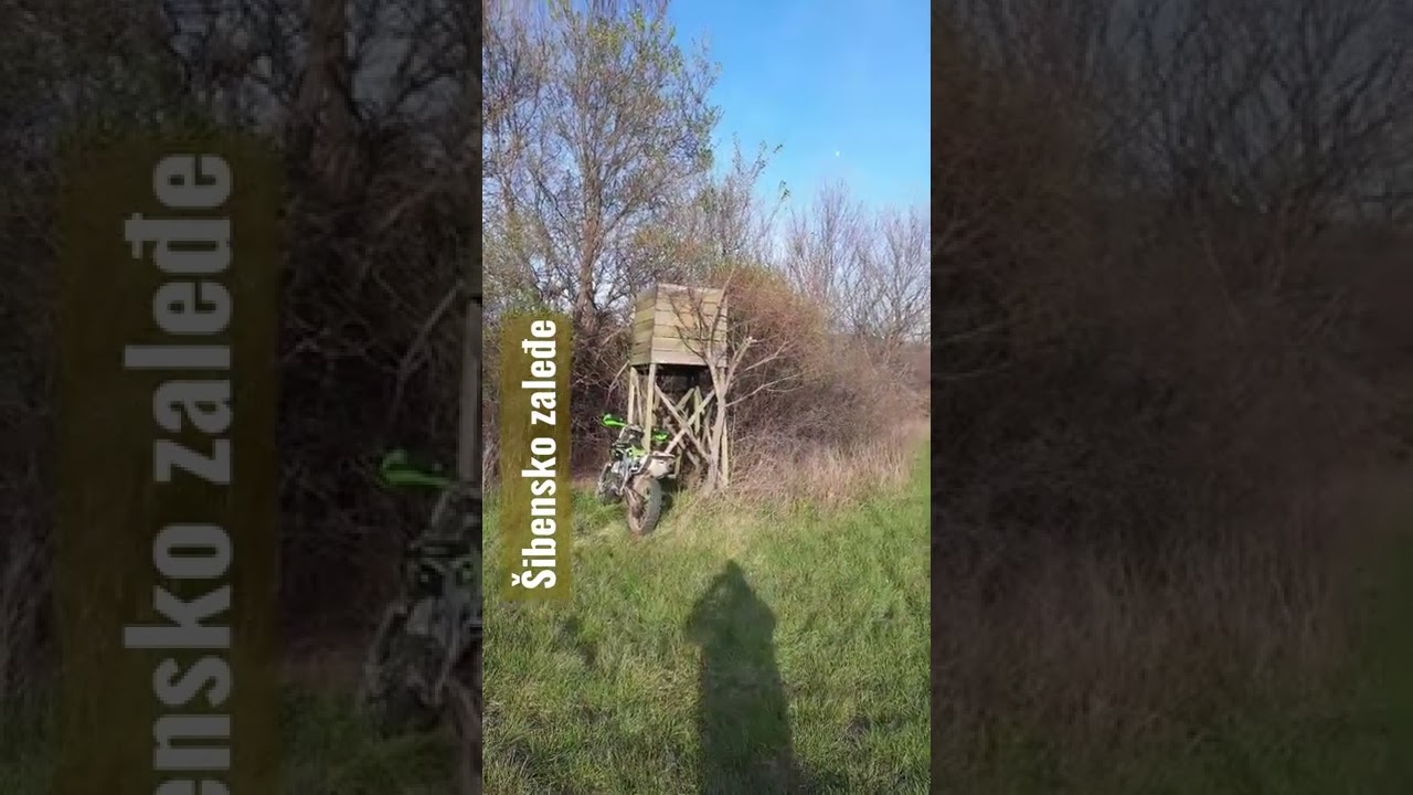 čeka u &scaron;umi