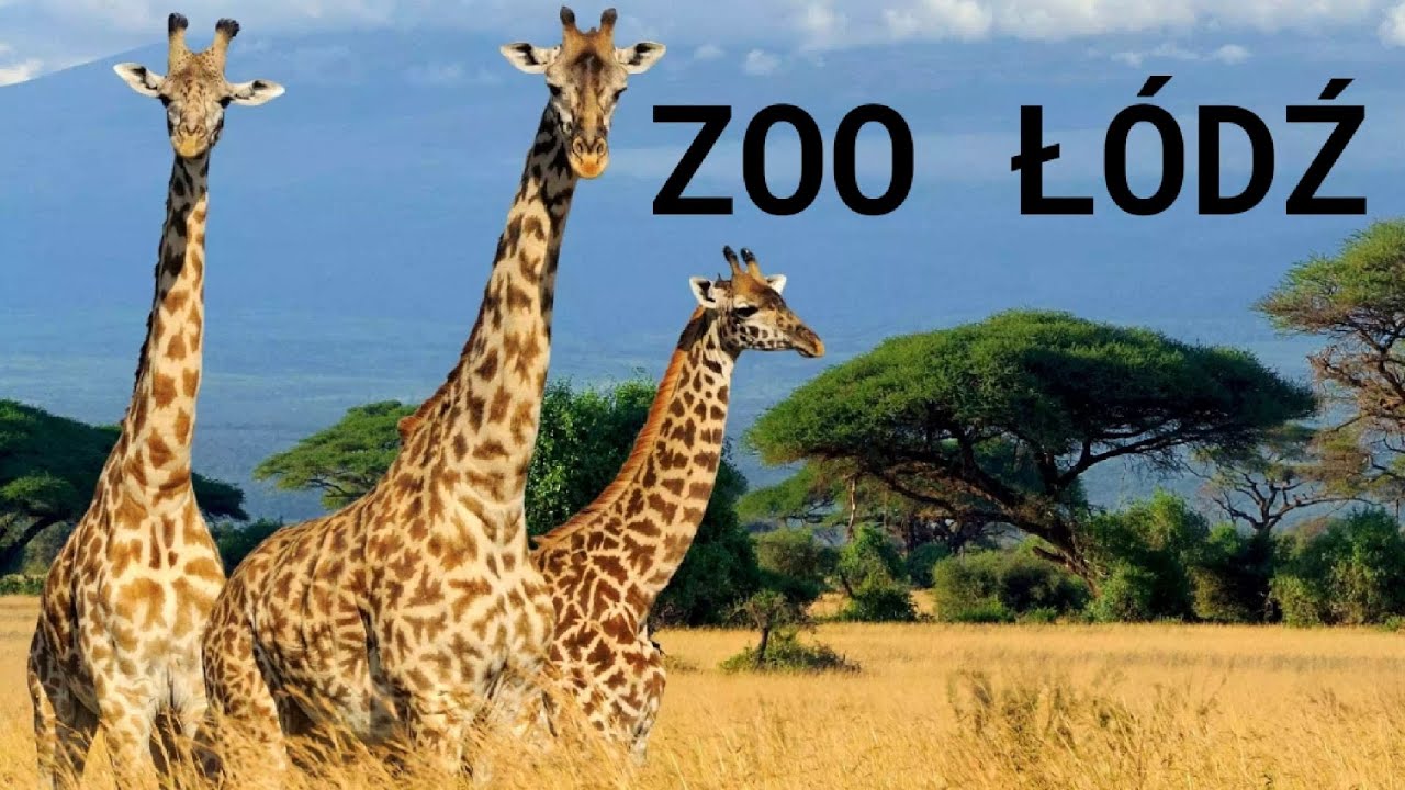 Zoo Łódź 2022