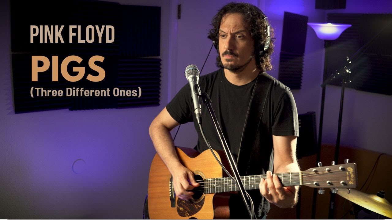Pink Floyd - Pigs (Three Different Ones) Looper Acoustic Cover