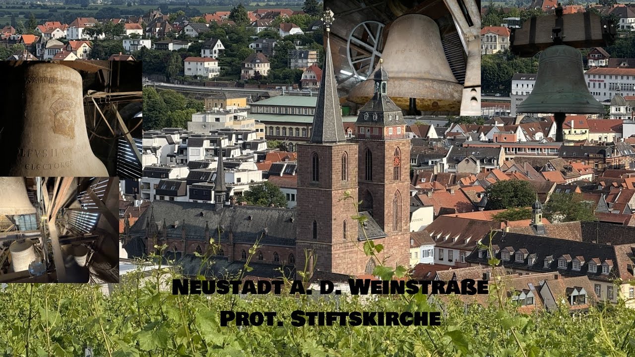 Neustadt a. d. Weinstraße [D.-NW] - prot. Stiftskirche, Geläutepräsentation