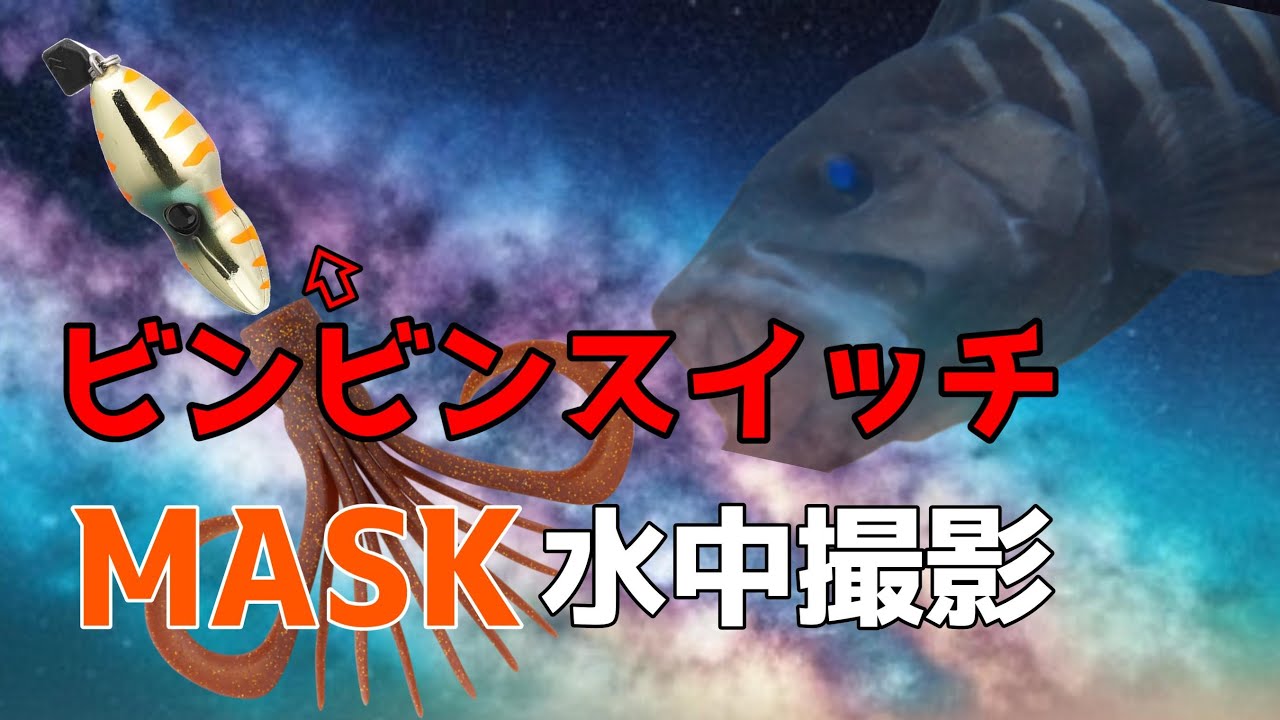 ビンビンスイッチマスク【水中動画】イカがバイトしてきた！！#タイラバ 　#ビンビンスイッチ　#ビンビンスイッチマスク #釣り #fishing #水中撮影