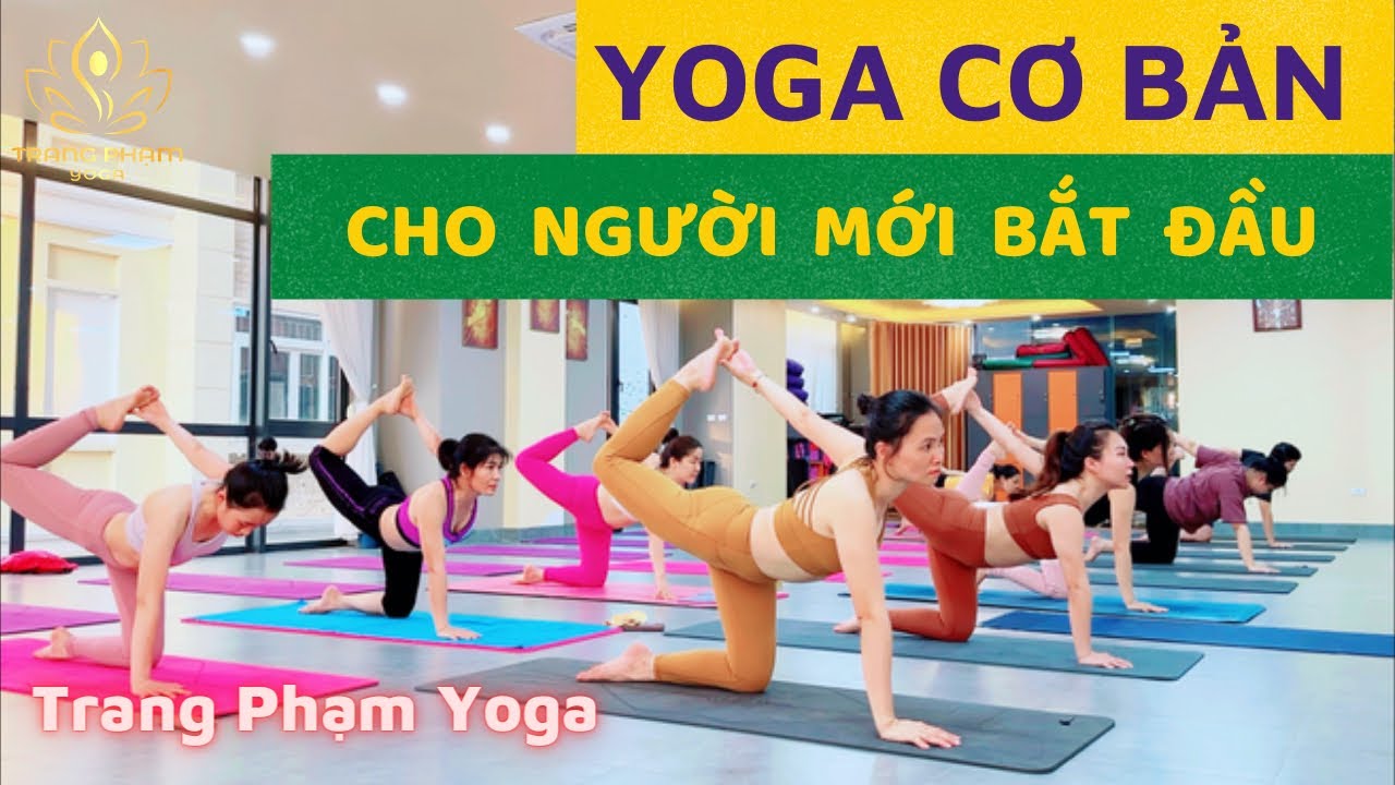 Bài tập Yoga Cơ Bản - Cho người mới bắt đầu - Trang Phạm Yoga
