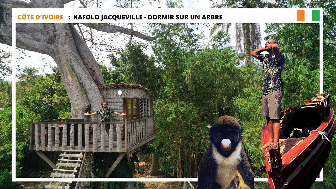 INSOLITE - 🇨🇮 Côte d'Ivoire : KAFOLO JACQUEVILLE,  Le seul endroit où dormir dans un arbre 🛏️🌳