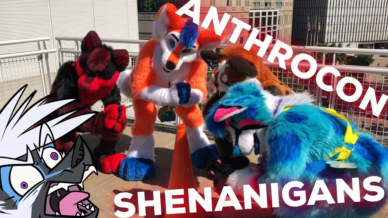 Anthrocon 2018 Shenanigans! (w/ Splinterfoxes and Zillion)