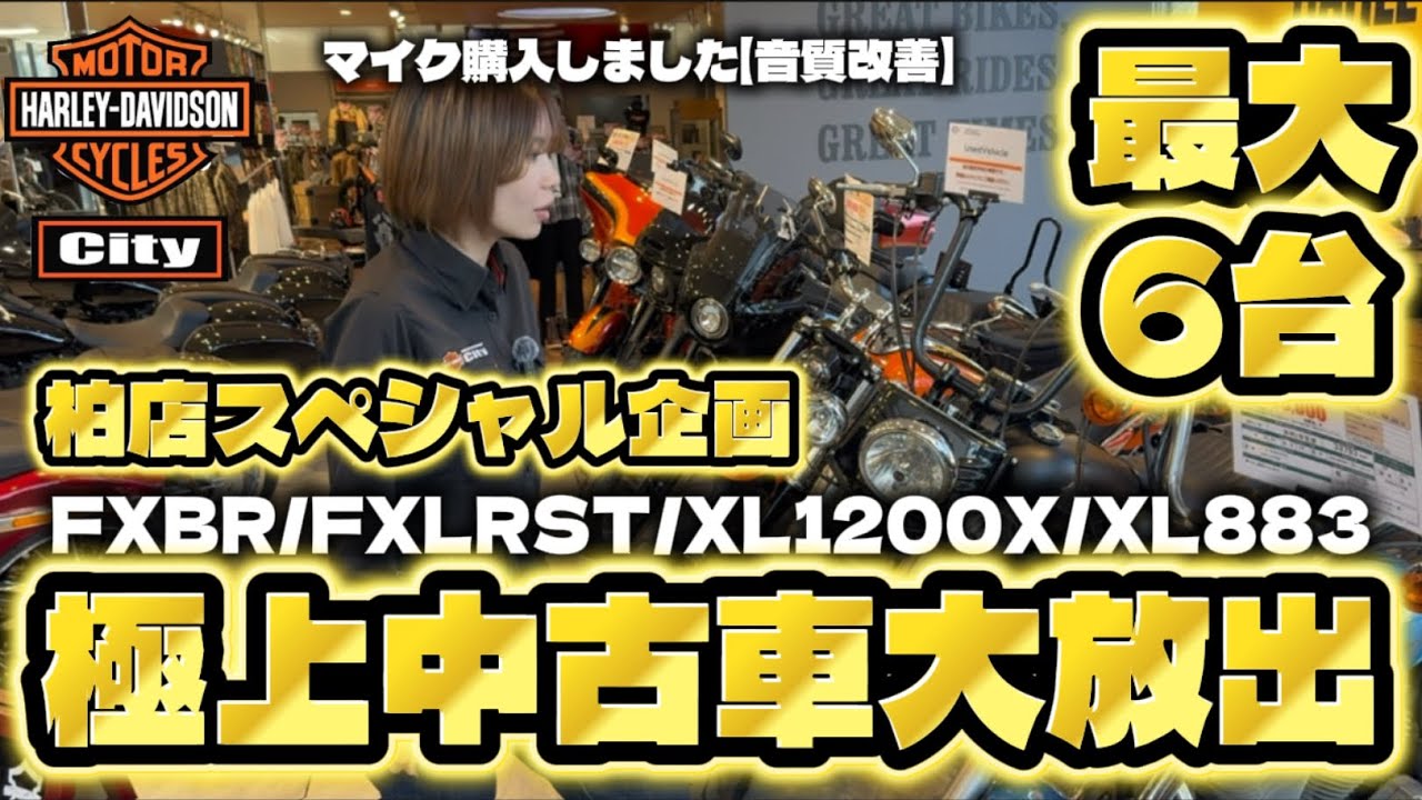 【速報】極上中古車大放出企画！#ハーレー中古車