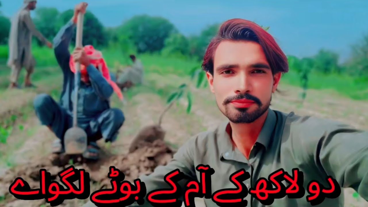 2 lakh ke aam ke bote laghway🤪400 so ka aik kalmi bota🤣my village new blog