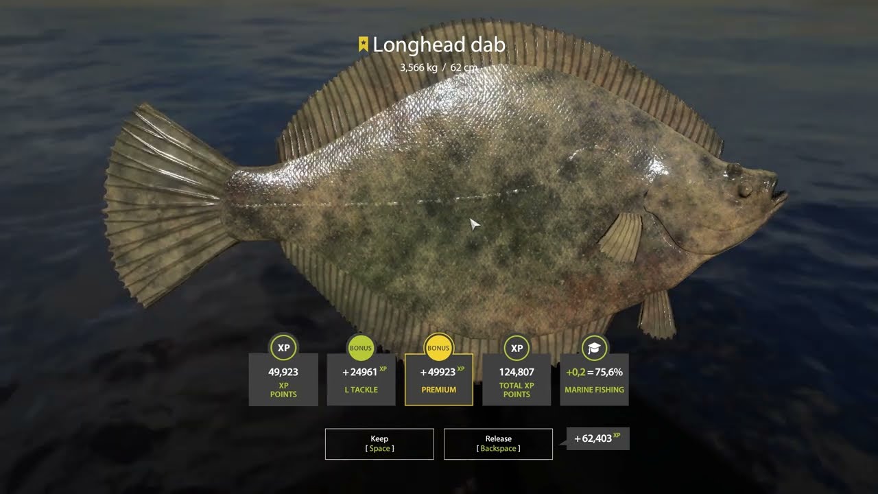 Russian Fishing 4 Longhead Dab Trophy