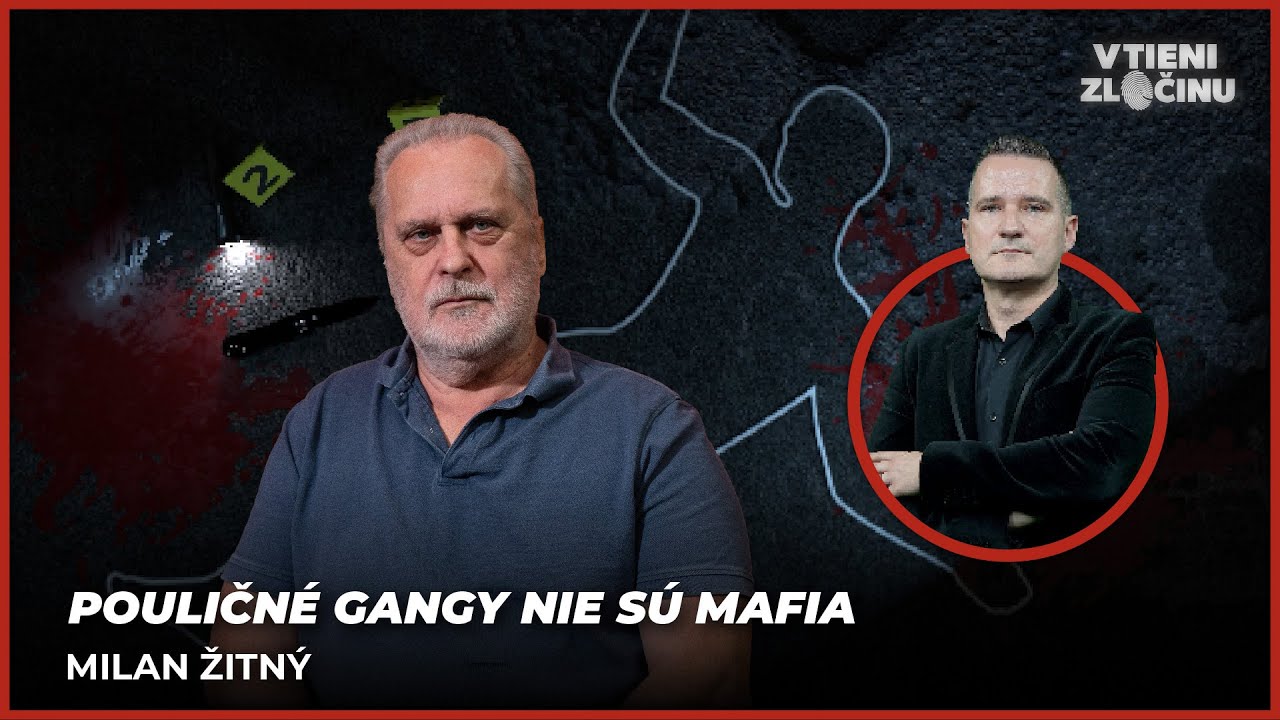 Pouličné gangy nie sú mafia | Milan Žitný, bezpečnostný analytik