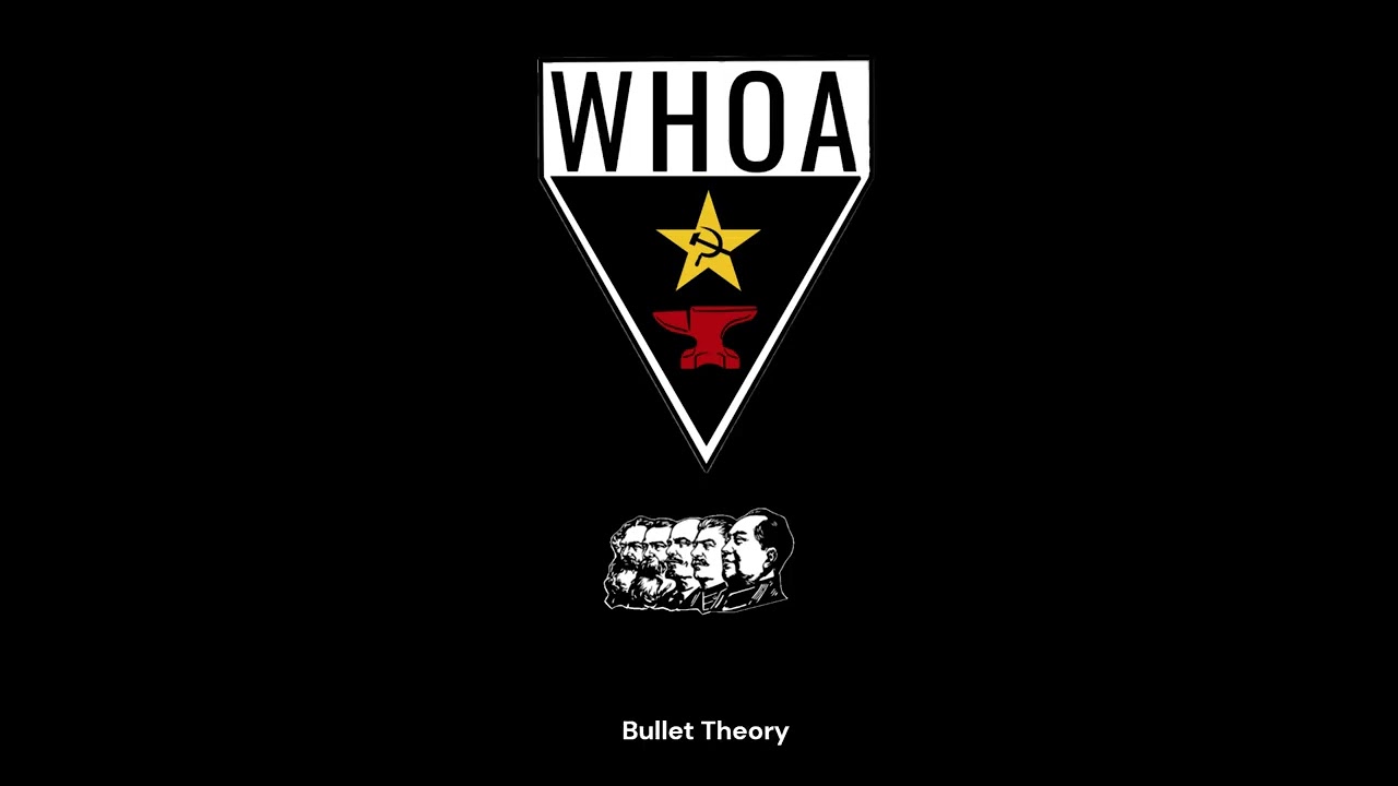 The Mass Line and the American Revolutionary Movement  Chapter 11. Agitation and Propaganda
