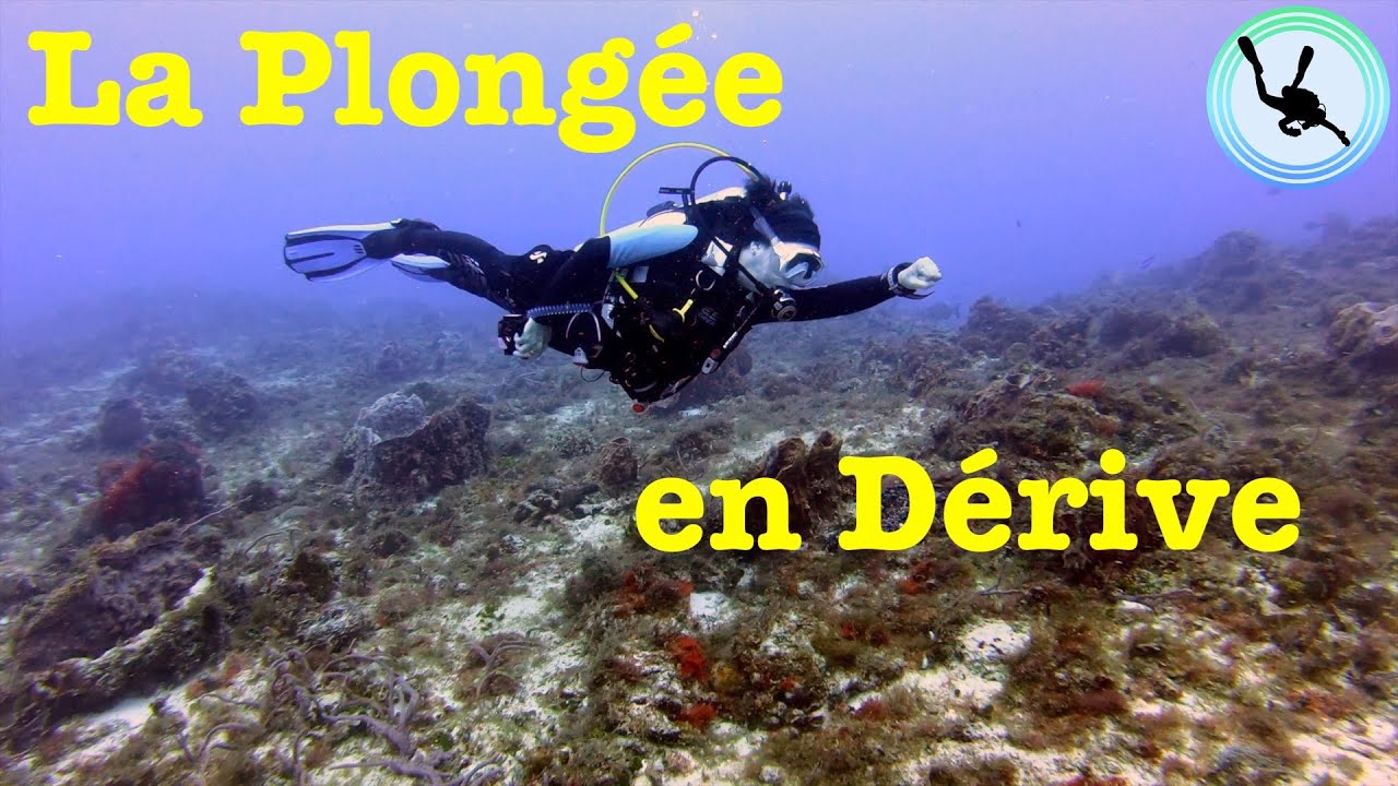 La plongée en Dérive