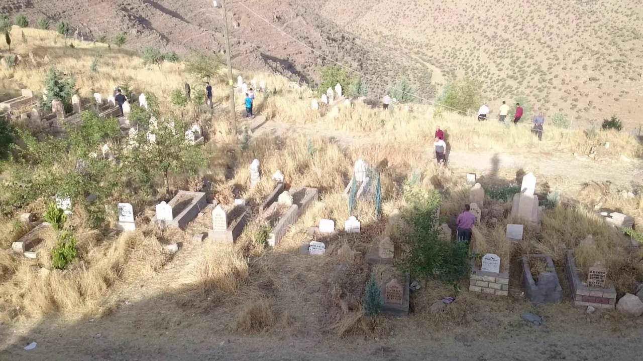DALİN BAYRAMI