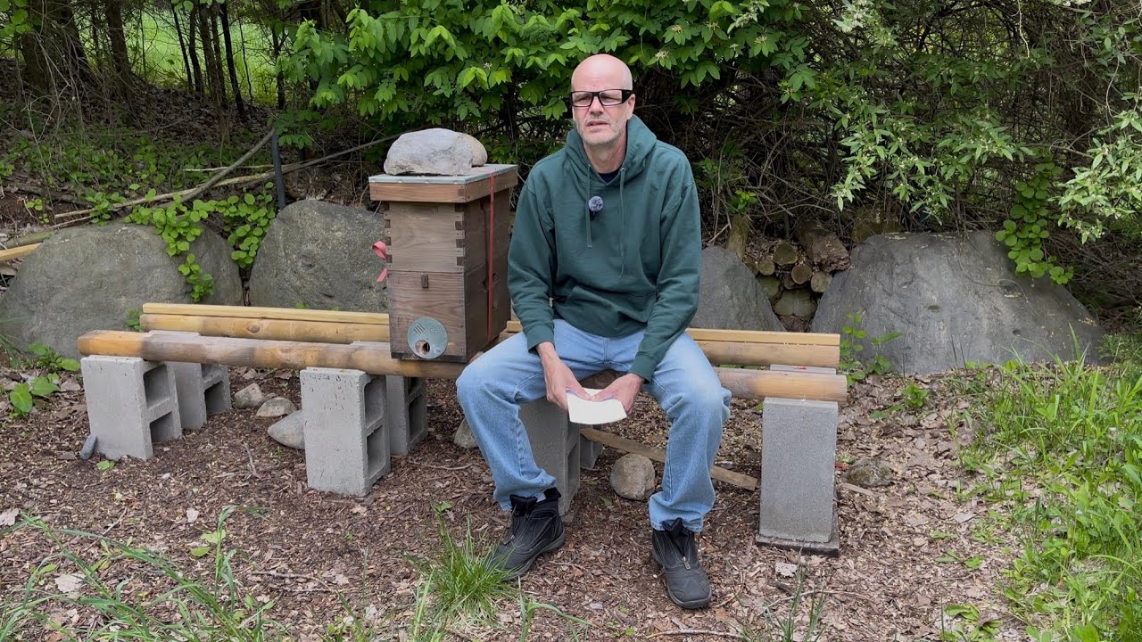 Things to Consider When Choosing Swarm Trap Locations For Targeting Feral Honeybees Populations