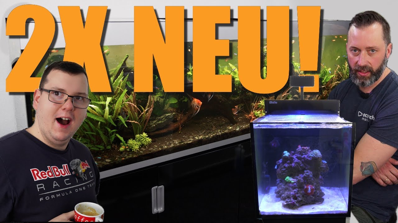 Eheim Incpiria 630 & Red Sea Nano Cube brauchen eine neue EINRICHTUNG!!!