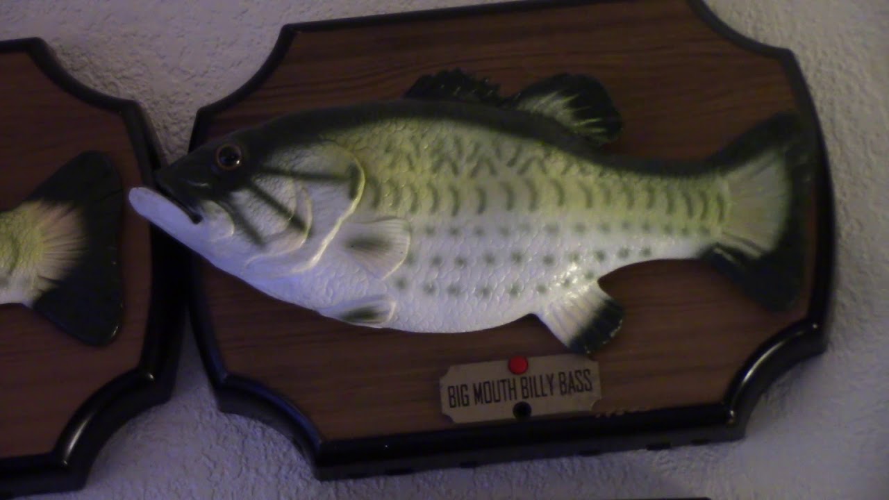My Big Mouth Billy Bass Collection as of Dec 27/17