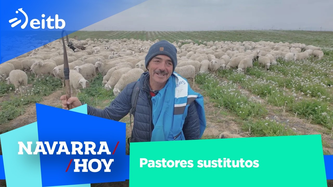 Pastores de emergencia o el sustituto cuando los ganaderos no pueden cuidar su rebaño