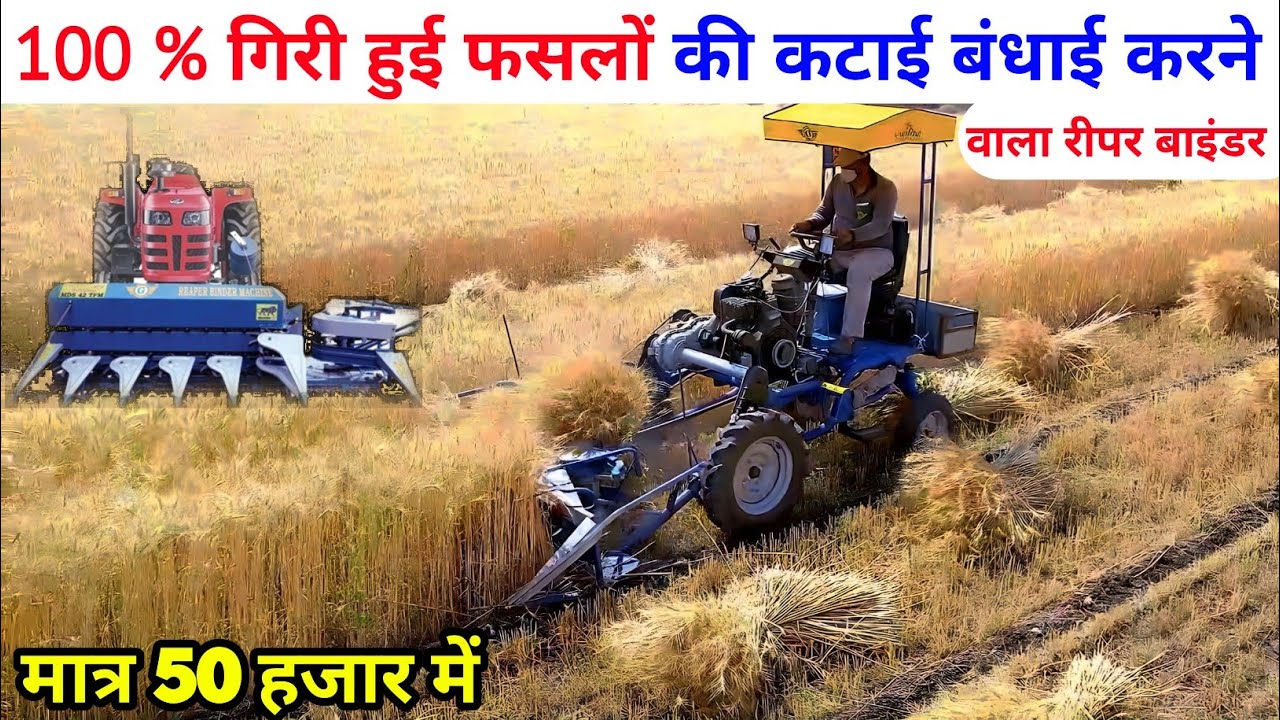 100 %‌ गिरी हुई फसलों की कटाई बंधाई करने वाला रीपर बाइंडर मात्र 50 हजार में | reaper binder machine