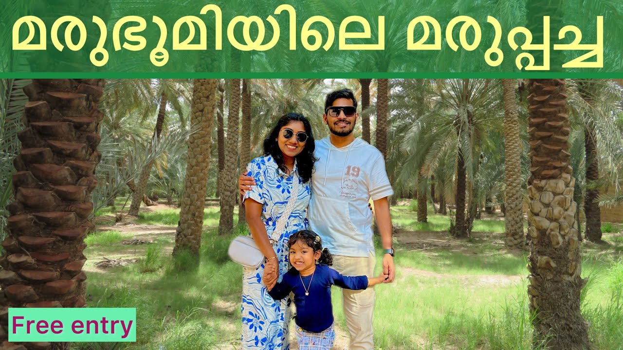 Explore the UAE's Green Oasis | UAE's Green Paradise | Free entry #malayalam #uaeheritage