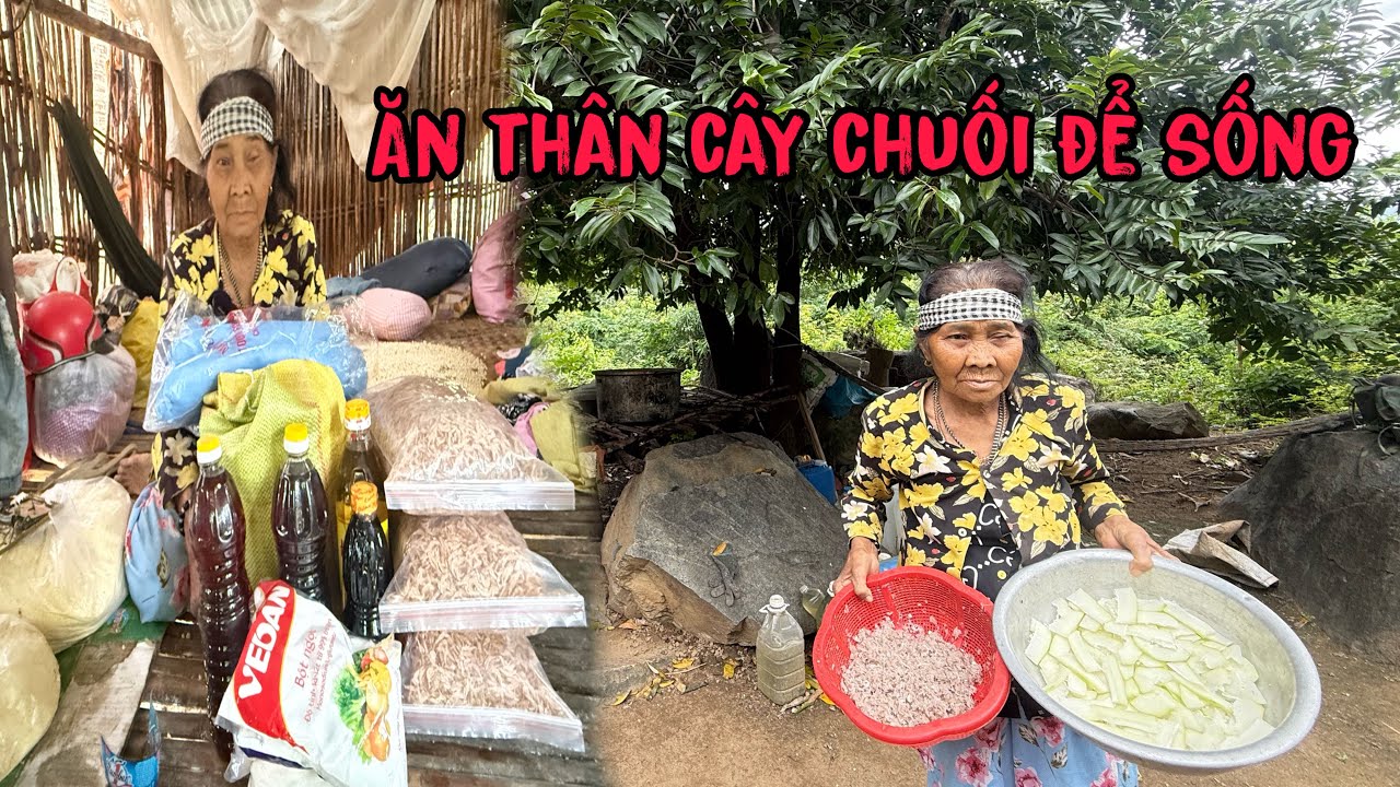 Bà cụ sống núi cao cuộc sống của bà lạ lắm ăn thân cây chuối sống quanh năm 