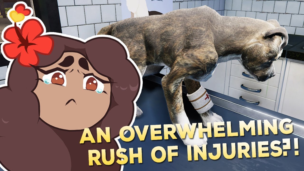 Running Out of Money for Our VET CLINIC?!  🐶🩹 Animal Shelter Simulator • #11