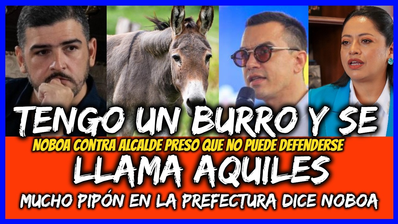 Tengo un Burro y se llama Aquiles. Noboa contra Alcalde Preso. Mucho pipón dice Noboa