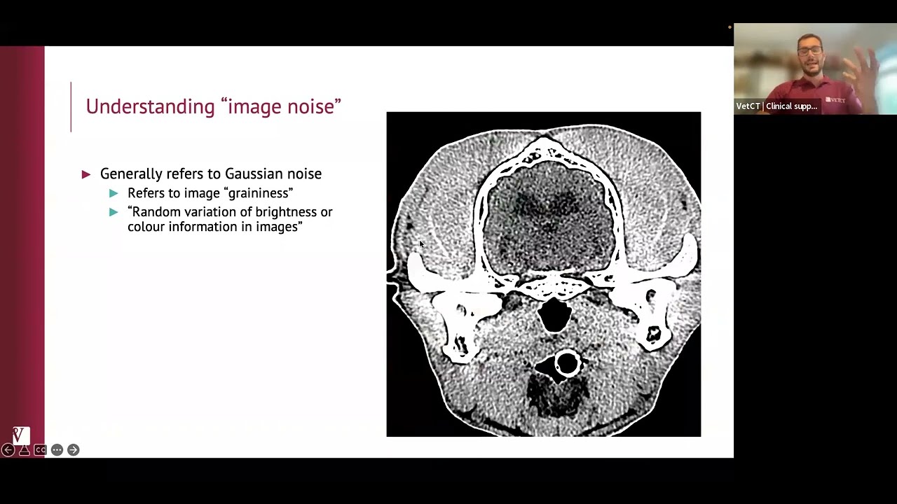 CT Webinar: How and when to perform CT reconstructions for veterinary patients
