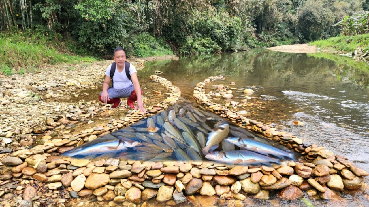 How to stack rocks to create a unique fish trap in the stream. Big fish suddenly fall into the trap