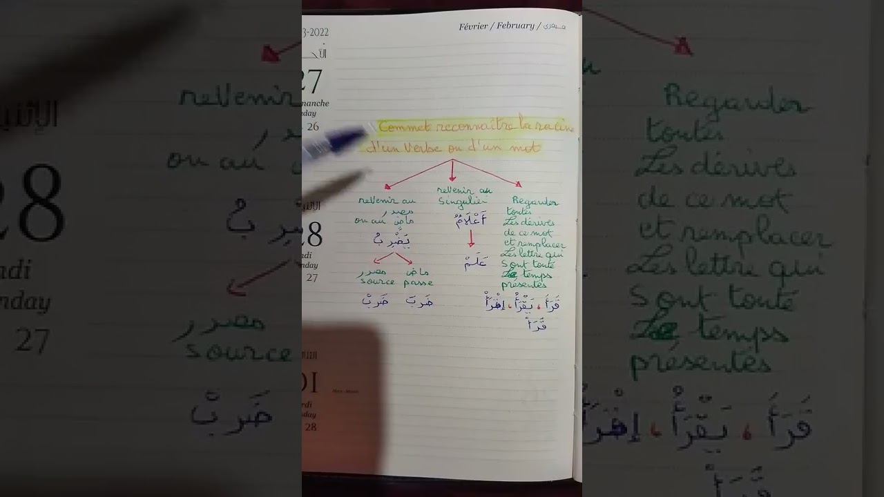 comment reconnaitre la racine d'un verbe ou d'un mot