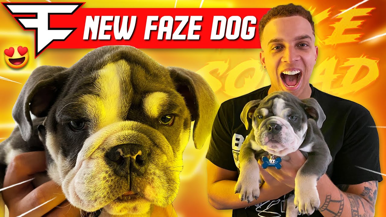 Meet the New FaZe Puppy! 🐶