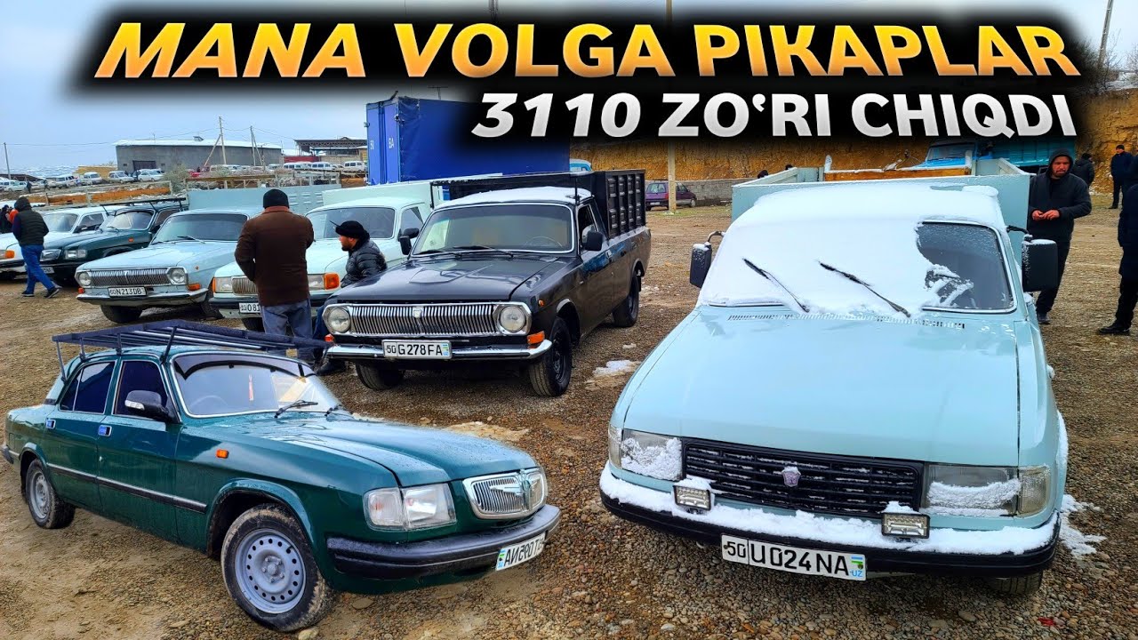ҚОР ЁҒСА ХАМ ВОЛГАЛАРНИ ЗЎРЛАРИ ЧИҚИБ КЕТИБДИ! 3110 ЗЎРИ ВА ПИКАПЛАР КЎП ЧИҚИБДИ