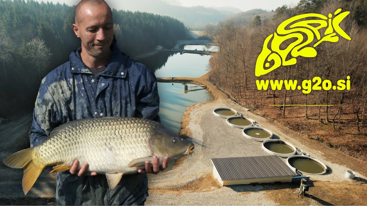 G2O d.o.o | Tank-by-pond system | Modern Fish Farming