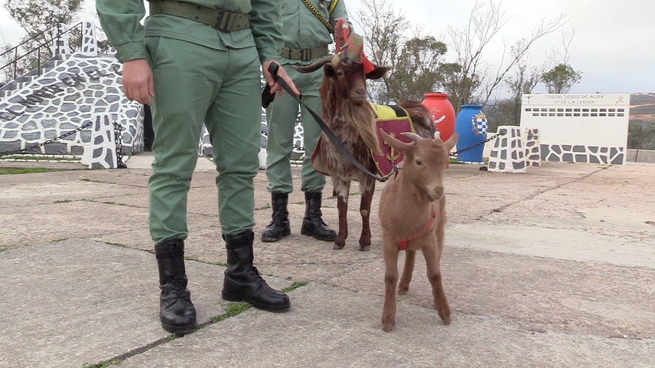 El deseo navideño de La Legión: que Satán pueda desfilar