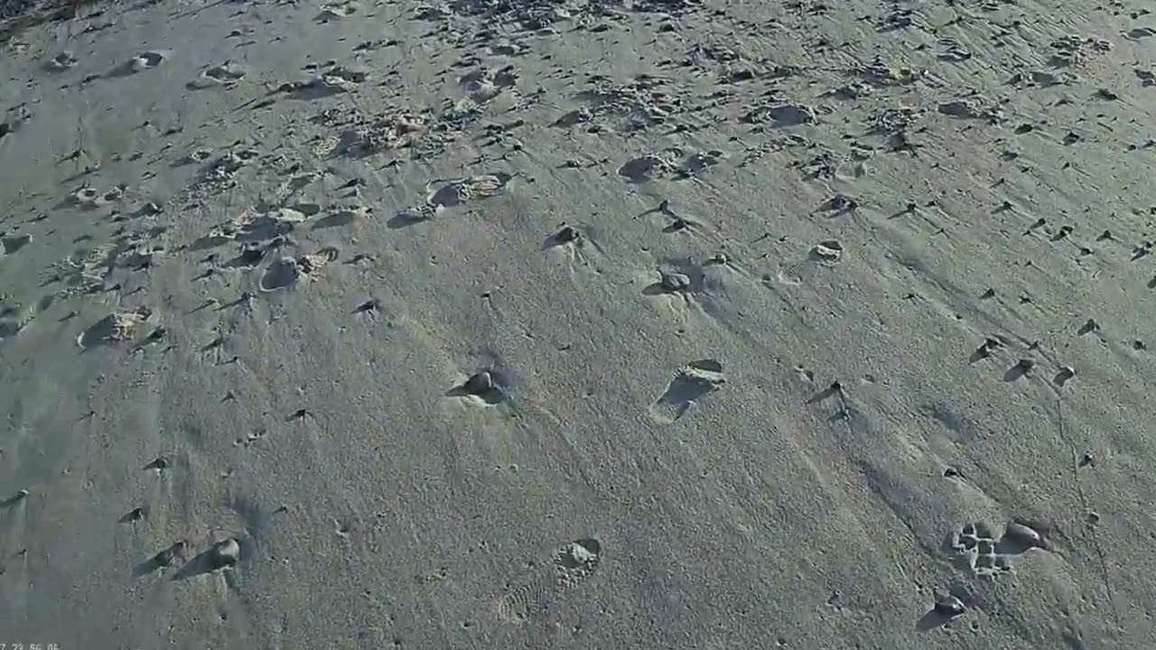 Sea Glass on Capistrano Beach - Pink Marble
