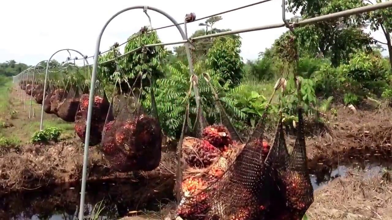 Cable Vía en Colombia