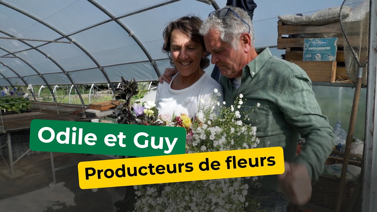 Rencontre avec Odile et Guy - Producteurs de fleurs