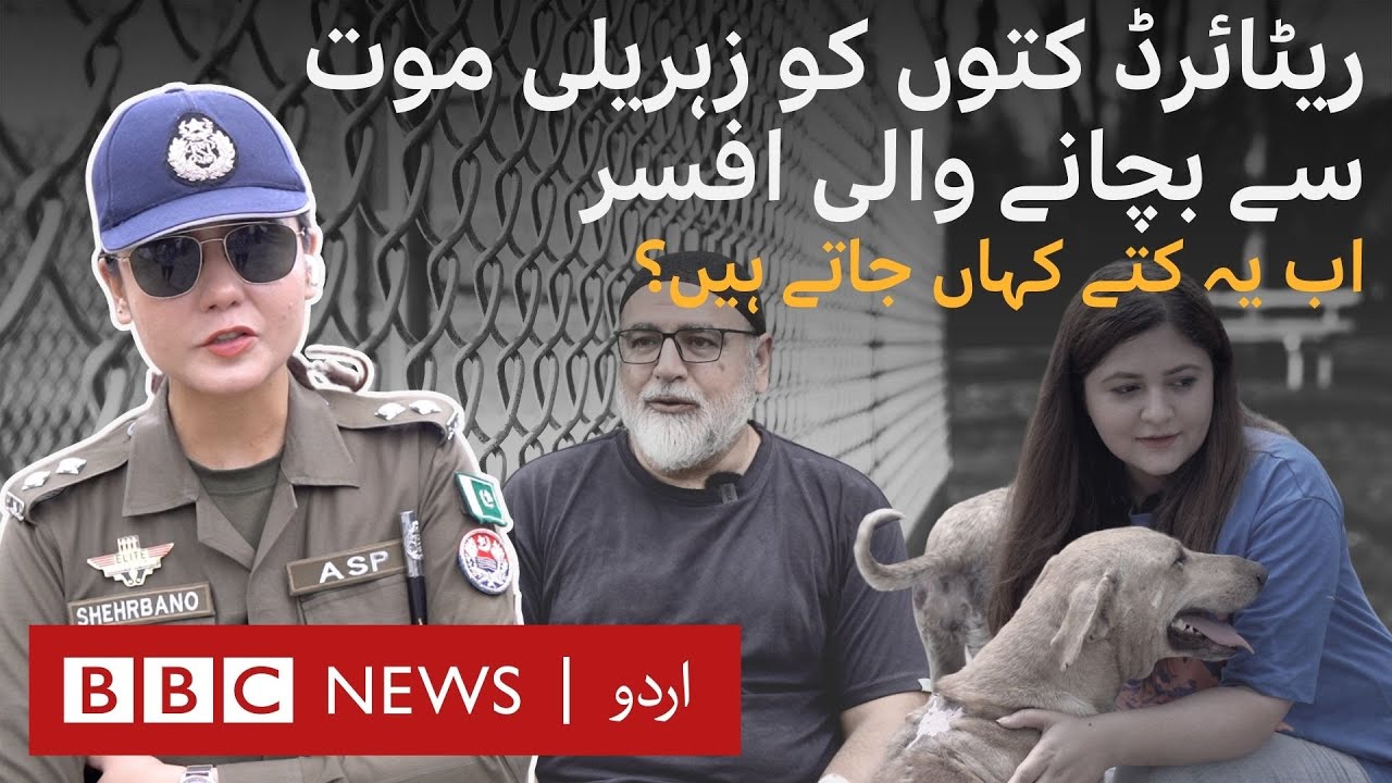 ASP Sheherbano Naqvi saved retiring dogs from euthanasia, where do they go now? - BBC URDU