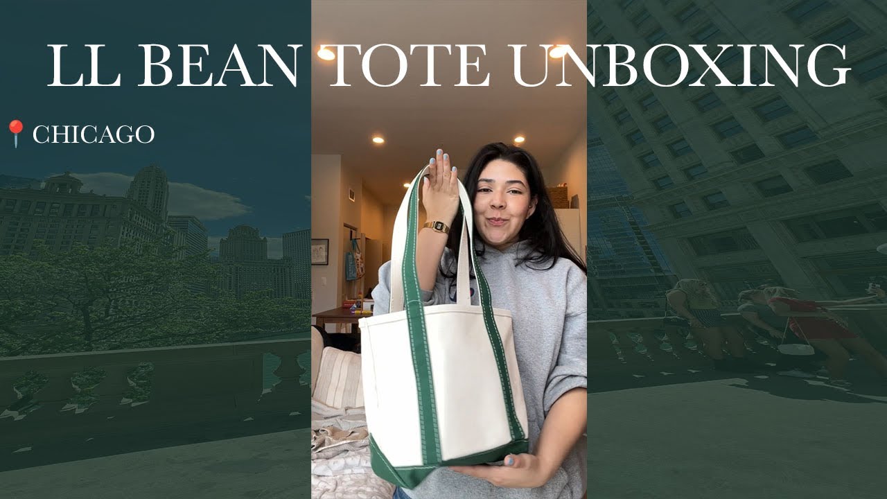 LL bean tote unboxing l Chicago dog walk | TikTok made me buy it