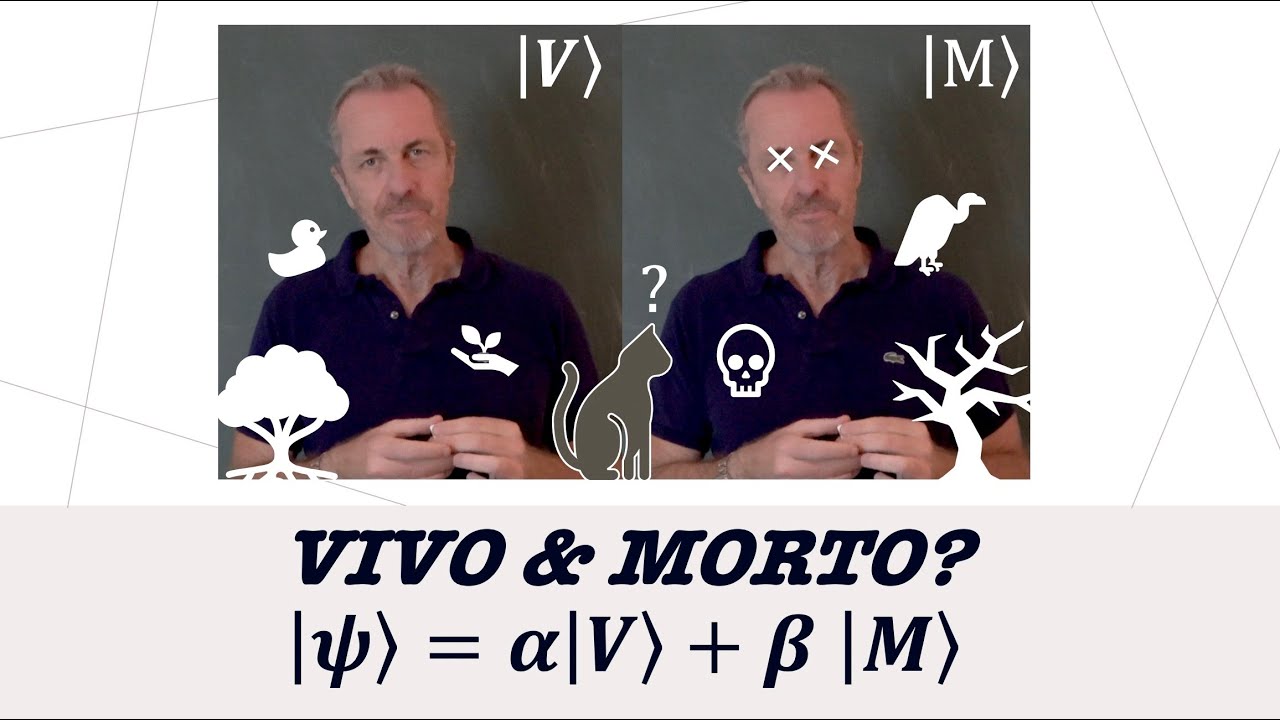 Vivo & Morto? Un chiarimento sulla sovrapposizione quantistica (35)
