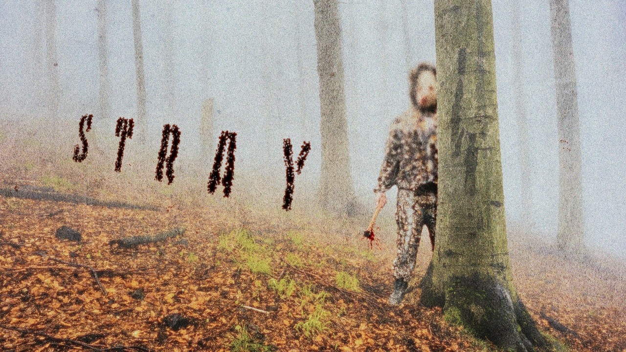 STRAY | Found Footage Horror Short Film