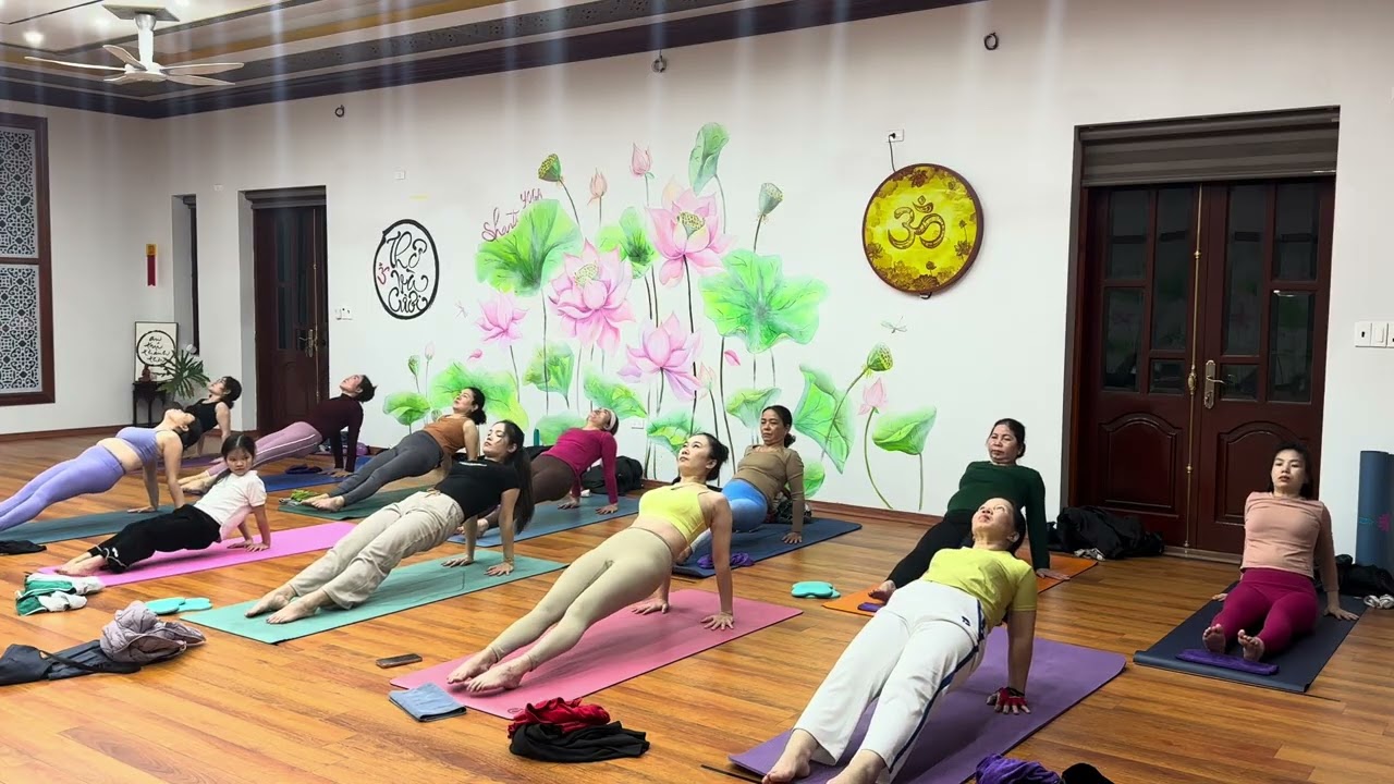 Chuỗi bài khoẻ và linh hoạt cho tay vai và lưng trên | Yoga tại phòng tập