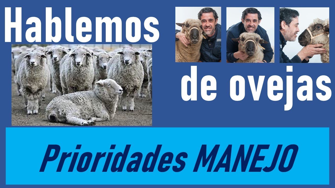Prioridades: Lo que nadie te dice
