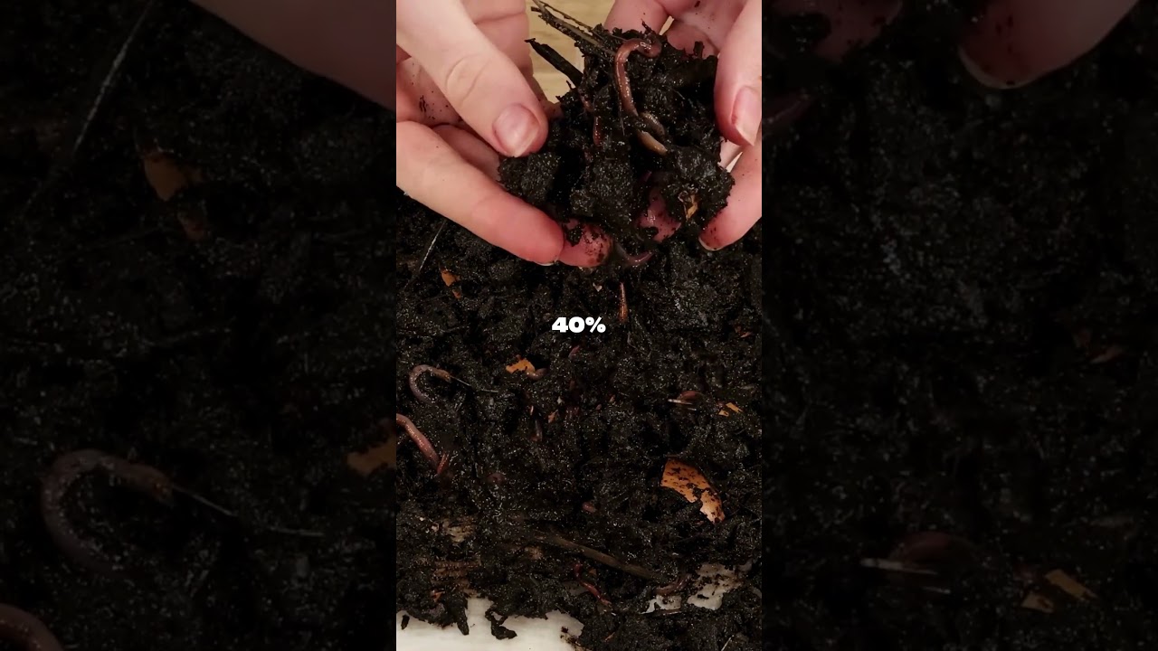 Substrato org&acirc;nico f&aacute;cil e de qualidade em 1 minuto! Fiz por aqui e deu muito resultado