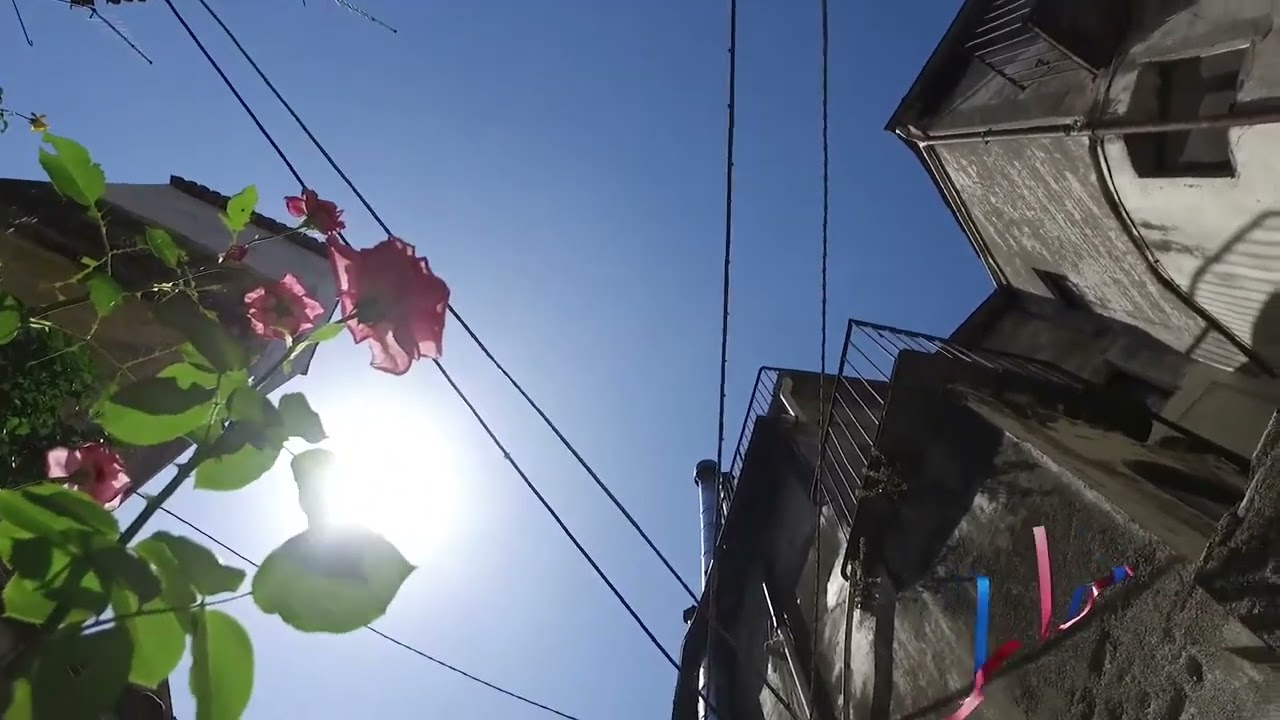 Verbicaro