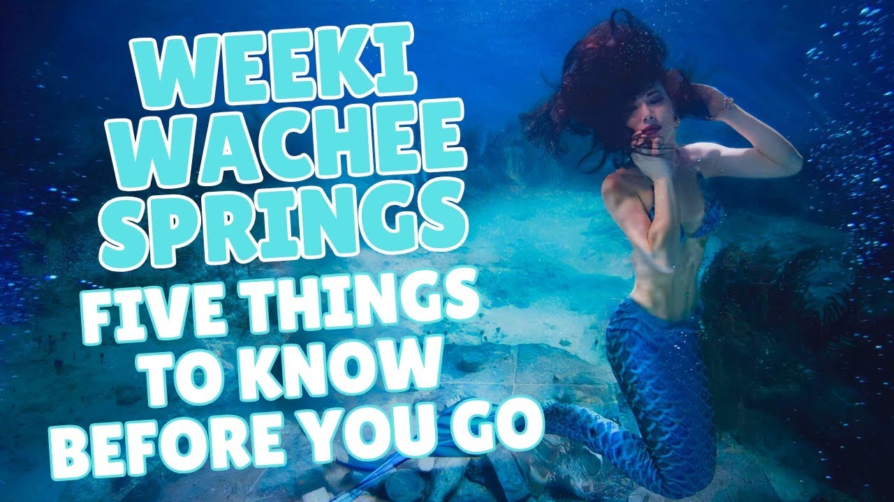 Weeki Wachee Springs: 5 вещей, которые нужно знать перед поездкой! 🧜‍♀️