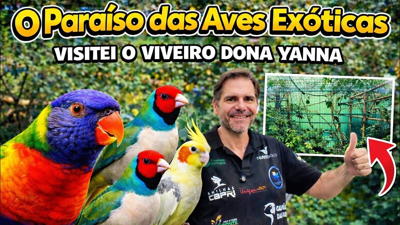 ​O PARA&Iacute;SO DAS AVES! Visitei o Viveiro Dona Yanna (Surpreendente!) 🦜