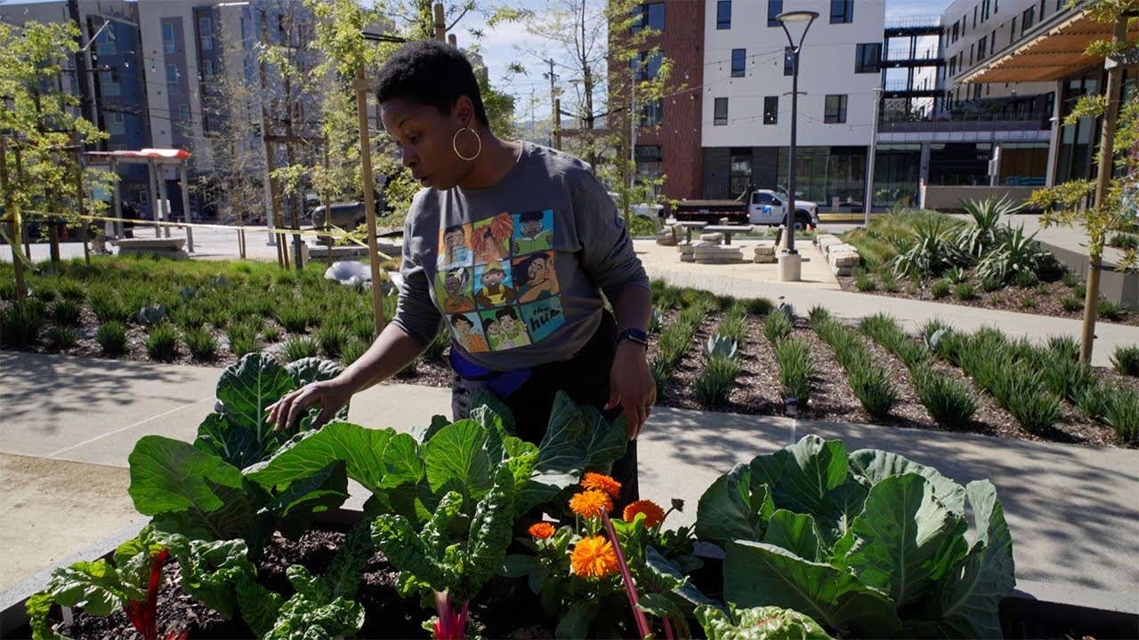 New housing model focuses on how nearby services improve residents’ lives