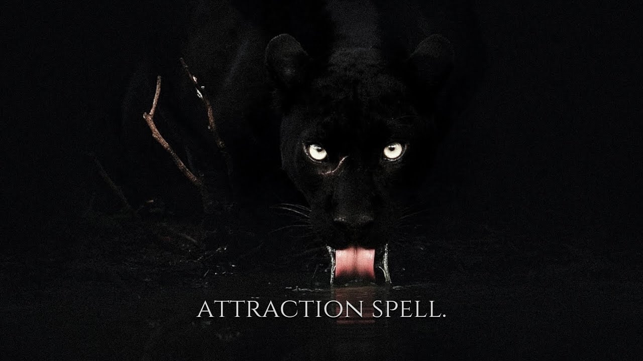 ╭ BLACK CAT ENERGY: HAVE THEM CHASE YOU ✩ SPELL ╮